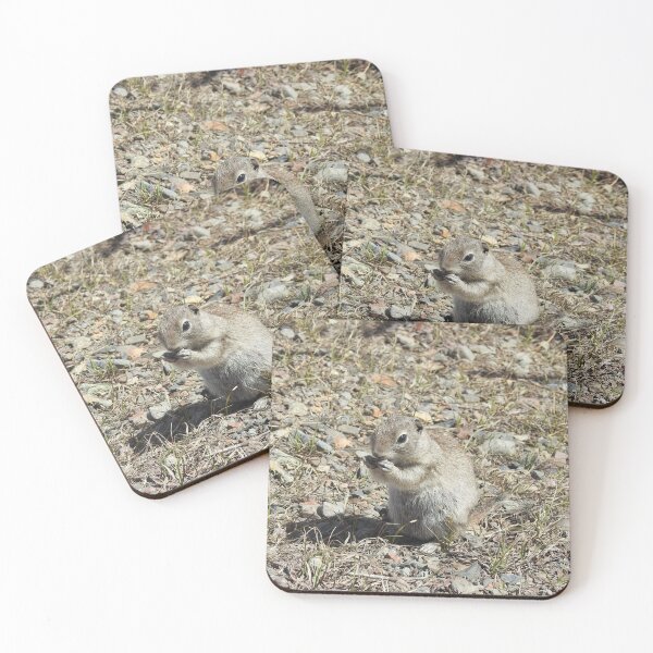 Item preview, prairie dog, wildlife, animals, nature, gifts designed and sold by Sandra O'Toole.
