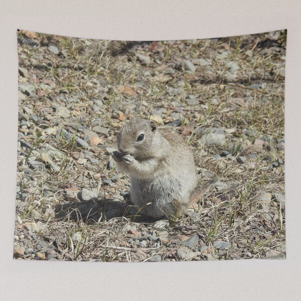 Item preview, prairie dog, wildlife, animals, nature, gifts designed and sold by Sandra O'Toole.