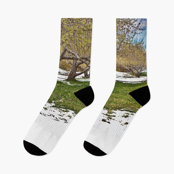 Item preview, Última nieve en los huertos. designed and sold by ANNABEL THOS.
