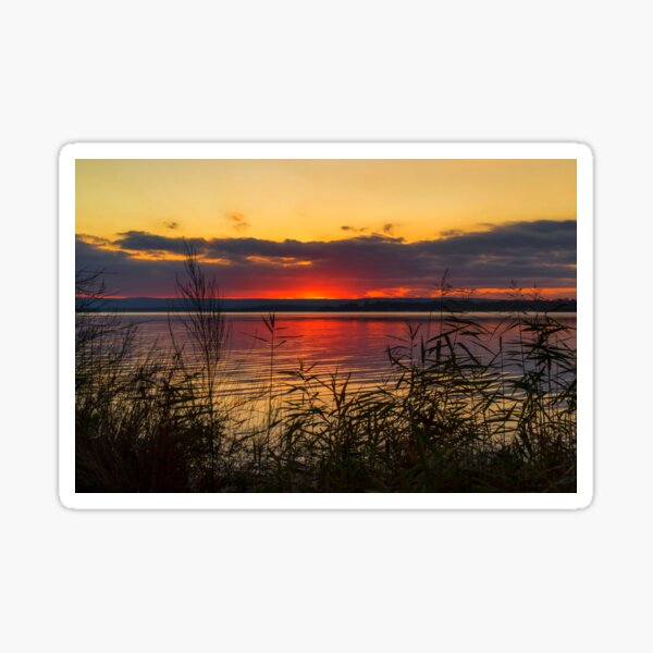 Sleepy Sunset Sticker