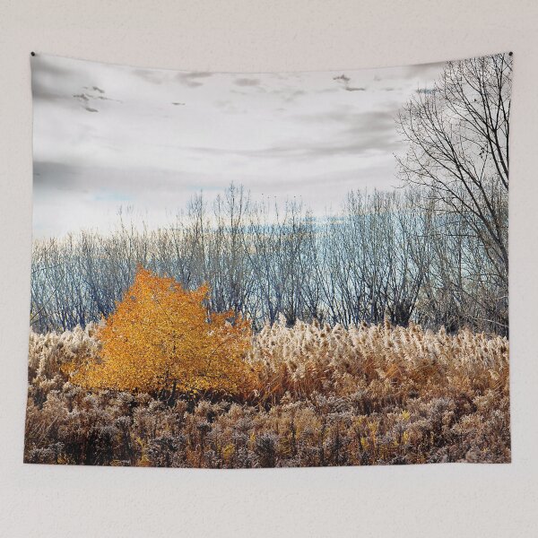Item preview, November nature in Québec designed and sold by ANNABEL THOS.