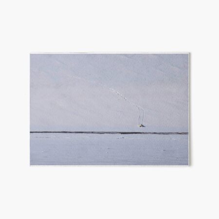Polar Bear Slide Art Board Print
