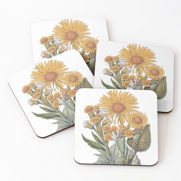 Item preview, Anne Pratt Antique Botanical Print - Yellow Fleawort, Leopards Bane, Wild Flowers designed and sold by simpson92.