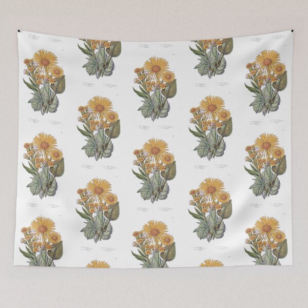 Item preview, Anne Pratt Antique Botanical Print - Yellow Fleawort, Leopards Bane, Wild Flowers designed and sold by simpson92.