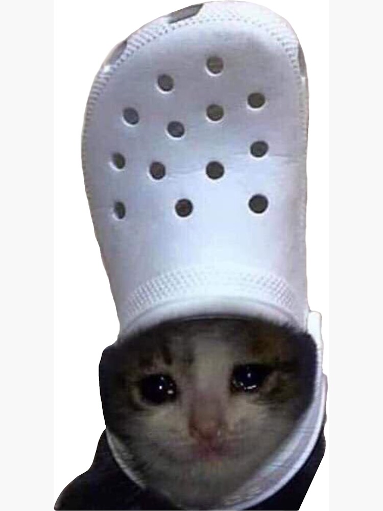 Sad Cat Croc | Pin