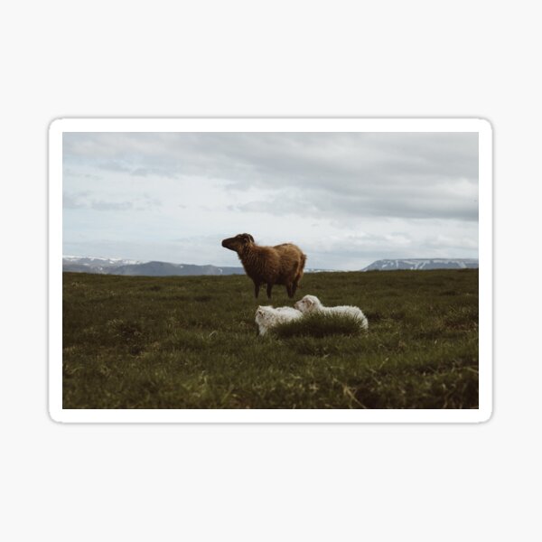 Iceland Sticker