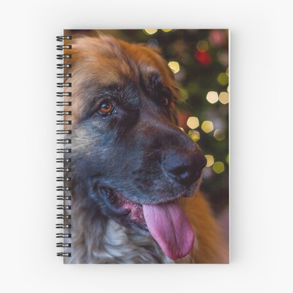Item preview, Festive Leonberger designed and sold by Matt Howells.