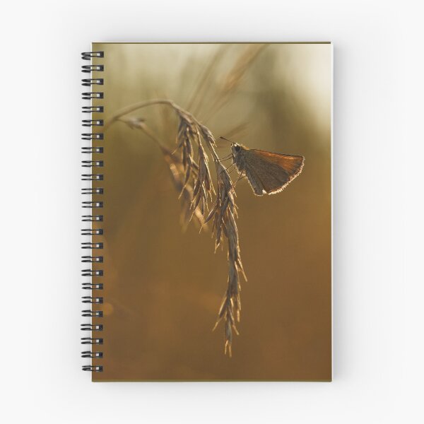 Item preview, Little Butterfly at Sunset designed and sold by Irina777.