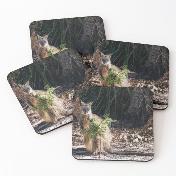 Item preview, Swamp Wallaby  designed and sold by Rainphotography.