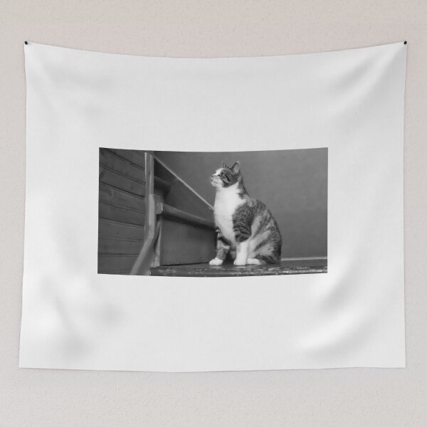 Item preview, What Do You See?  designed and sold by colorfulbundles.