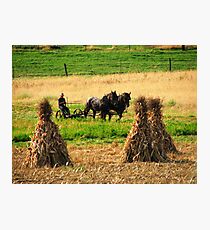 Amish Country - Fall Harvest Photographic Print