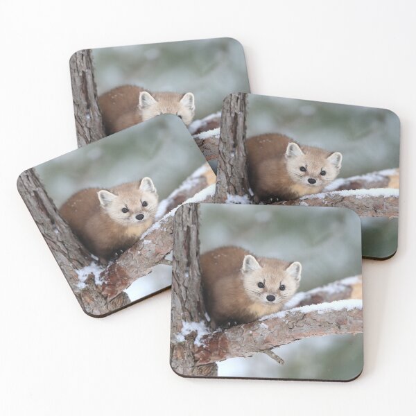 Item preview, Pine Marten designed and sold by mlorenz.