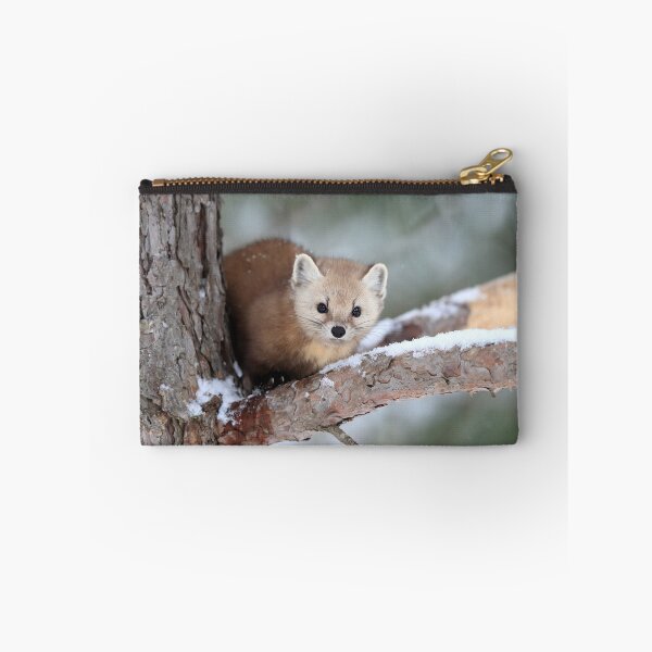 Item preview, Pine Marten designed and sold by mlorenz.