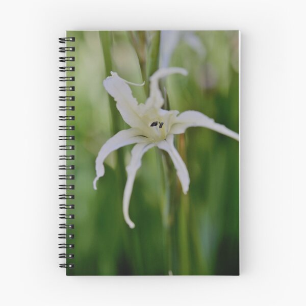 Item preview, A Bulb Emerges in Beautiful White designed and sold by imaginethis.