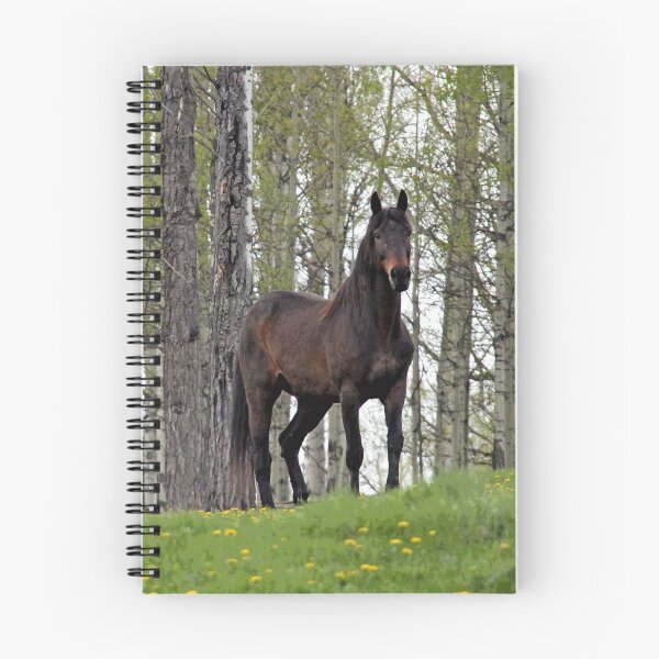 Item preview, Percheron Thoroughbred Horse designed and sold by NaturePrints.