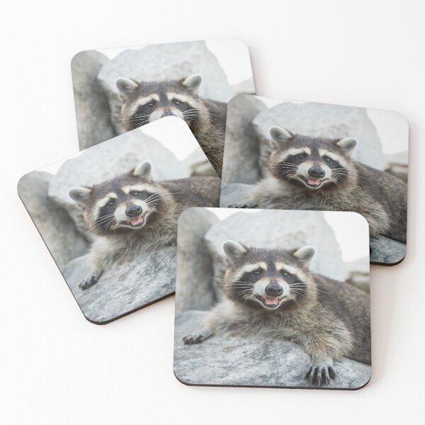 Item preview, Laid Back designed and sold by Jay Madden photographer.