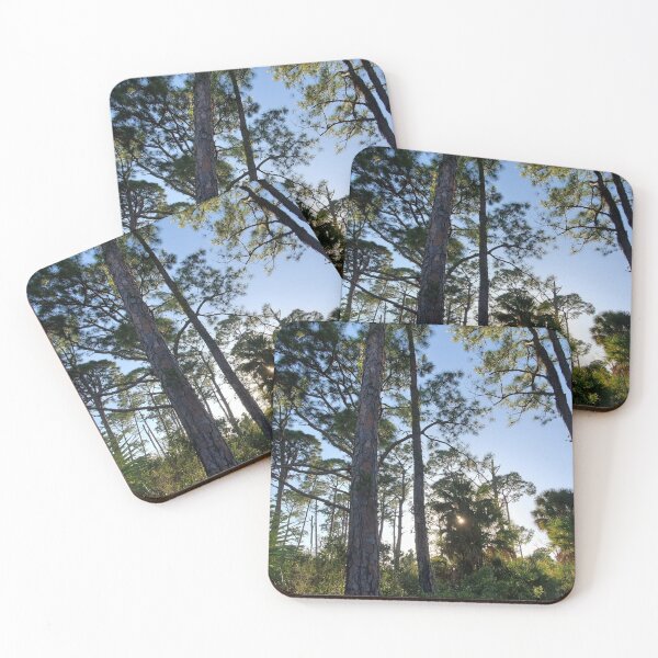 Item preview, In the Florida woods designed and sold by Amanda Huggins.