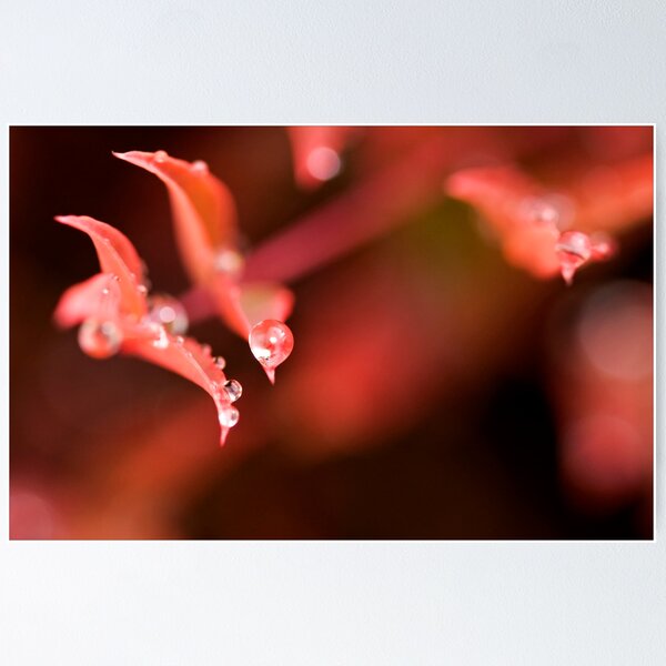Item preview, Red Pearl designed and sold by iltby.