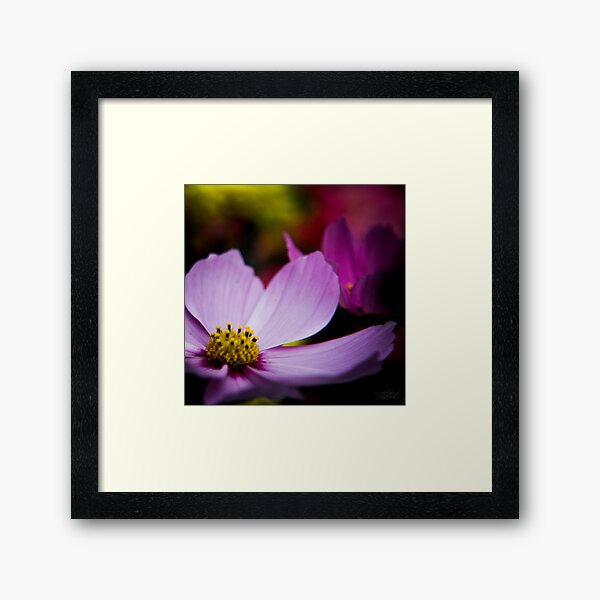 Item preview, Spring Flowers II designed and sold by Theodore Black.