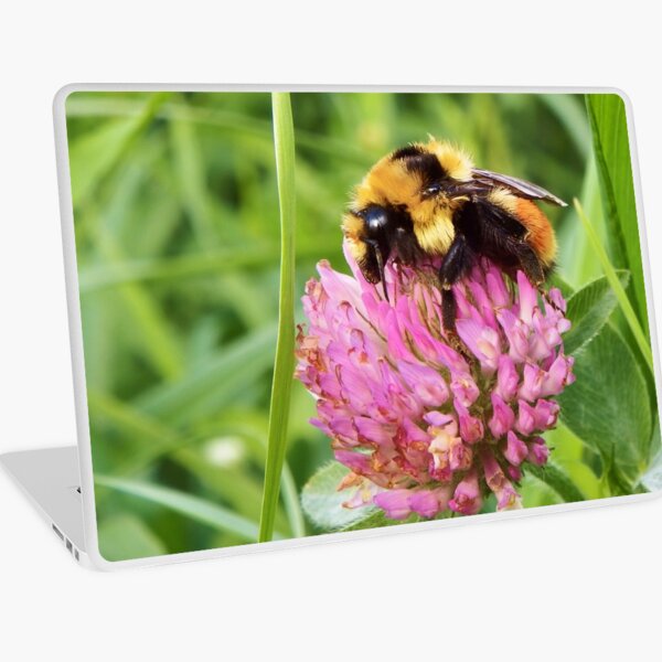 Clover Bumblebee Laptop Skin