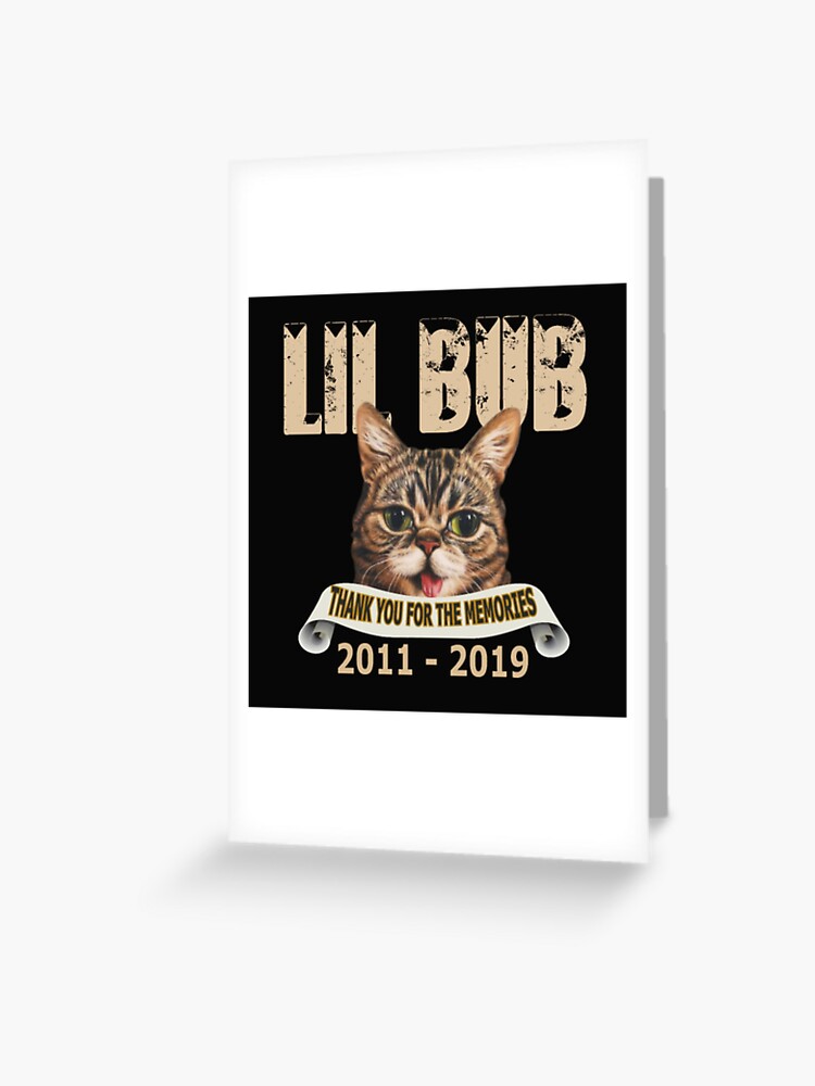 lil bob cat
