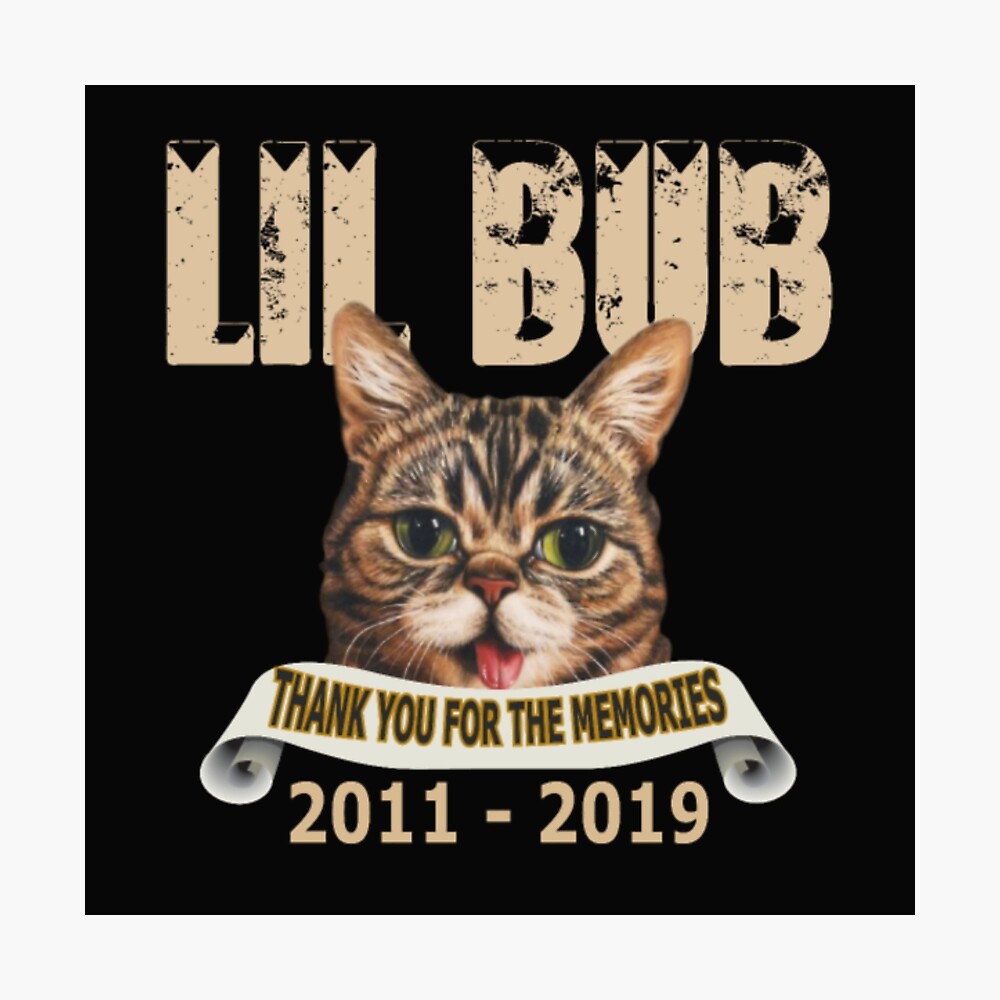 Impression Metallique Lil Bob Merci Pour Les Souvenirs Fameux Chat Par Xddzytyml Redbubble