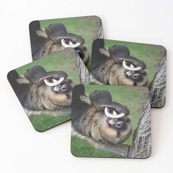 Item preview, Two-Toed Sloth designed and sold by rthornberry.