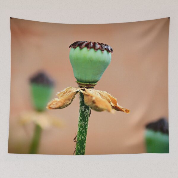 Item preview, Poppy Seed Capsule designed and sold by Yannik Hay.