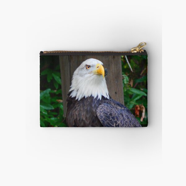 Item preview, Bald Eagle designed and sold by rthornberry.