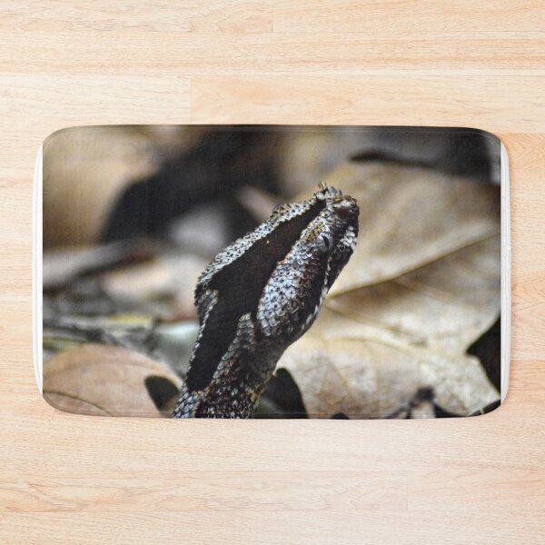 Item preview, Rhinoceros Viper designed and sold by rthornberry.