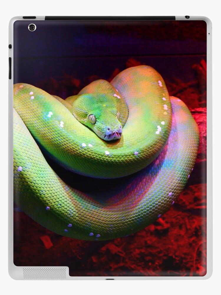 Snake in Flowers iPad Air 3 Garden of Eden iPad 12.9 2021 Case