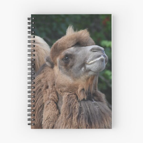 Item preview, Bactrian Camel designed and sold by rthornberry.