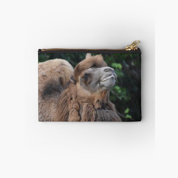 Item preview, Bactrian Camel designed and sold by rthornberry.