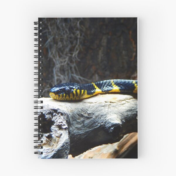 Item preview, Mangrove Snake designed and sold by rthornberry.