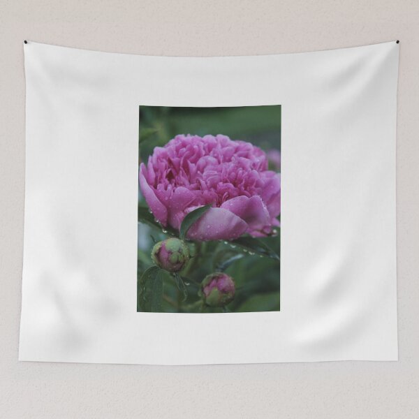 Item preview, mojado de ser regado.
Foto tomada en mi propio patio en Winnipeg designed and sold by stephenralph.