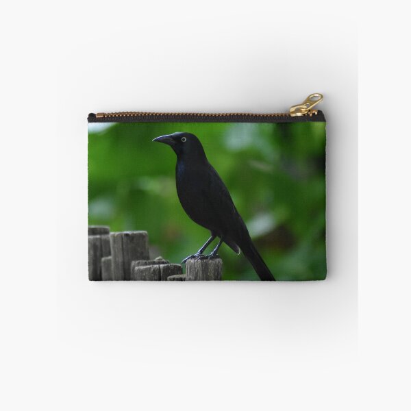 Item preview, Common Grackle designed and sold by rthornberry.