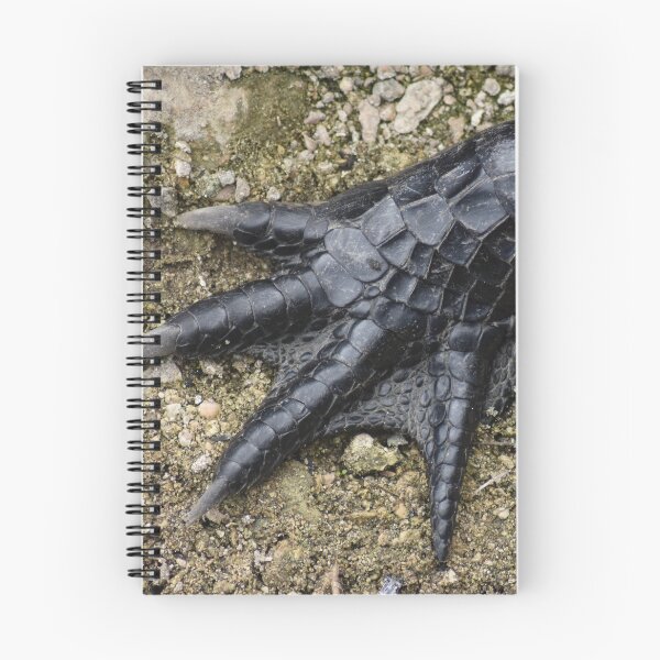 Aperçu de l'œuvre Griffe d'alligator créée et vendue par rthornberry.