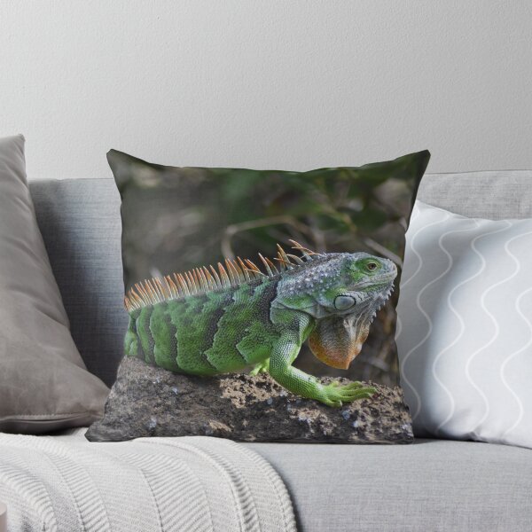 Item preview, Iguana designed and sold by rthornberry.