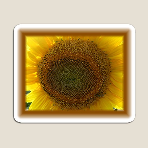Aperçu de l'œuvre Tournesol créée et vendue par stephenralph.