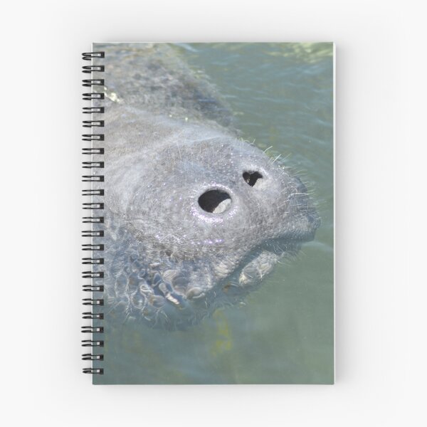 Item preview, Manatee Snoot designed and sold by rthornberry.