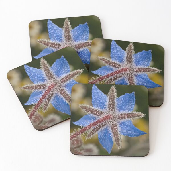 Item preview, Dewy borage designed and sold by Art in Nature.