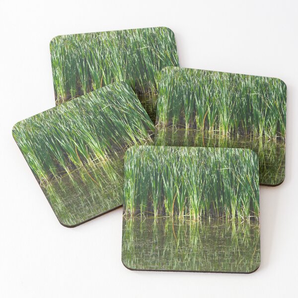 Item preview, Lagoon grasses designed and sold by Mel T.