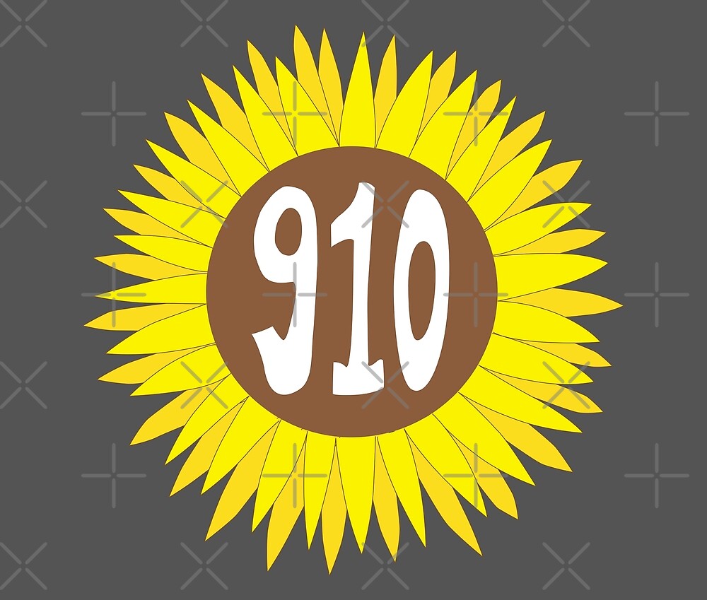 910-area-code
