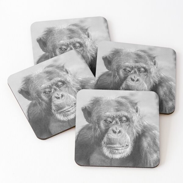 Item preview, Portrait of a chimp designed and sold by Penny Heighes.