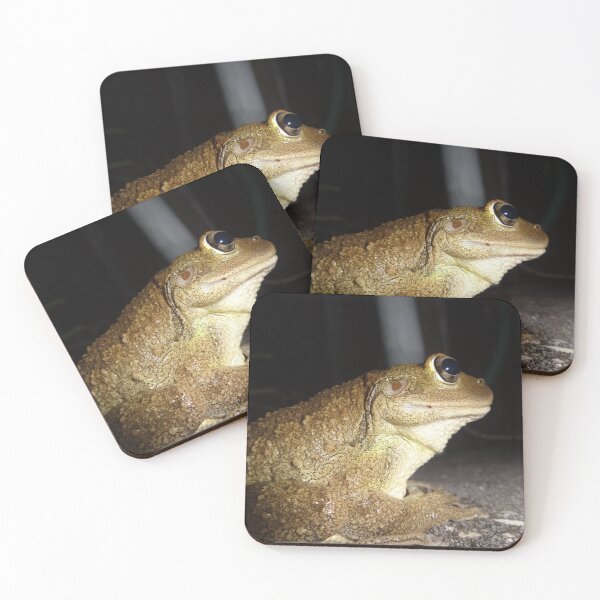 Item preview, A Frog . . . Real Croaker by Orikall designed and sold by HippieWorks.
