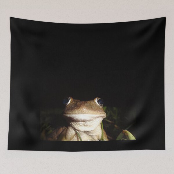 Item preview, Happy Frog - Macro by Orikall designed and sold by HippieWorks.