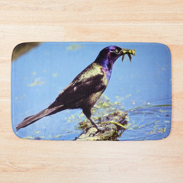 Item preview, Common Grackle designed and sold by Yannik Hay.