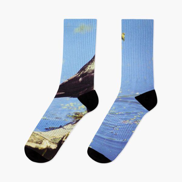 Item preview, Common Grackle designed and sold by Yannik Hay.