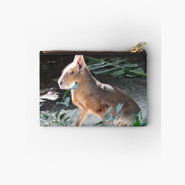 Aperçu de l'œuvre Patagonian Cavy par Orikall créée et vendue par HippieWorks.