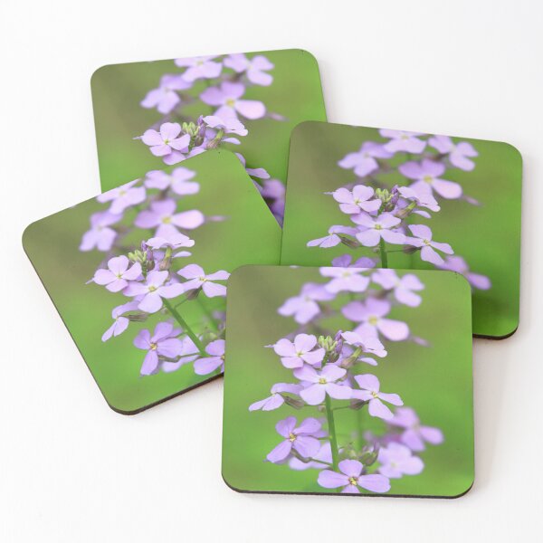 Item preview, Wild Flowers (Dame’s Rocket - Hesperis matronalis) designed and sold by Yannik Hay.